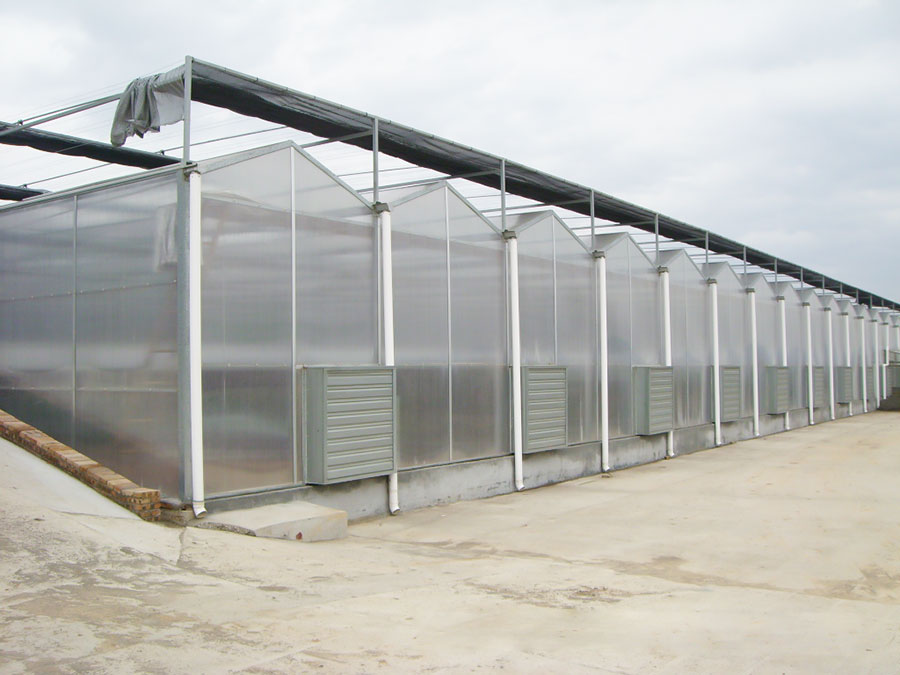 陽(yáng)光板溫室