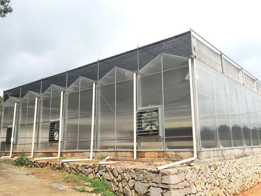 陽(yáng)光板溫室