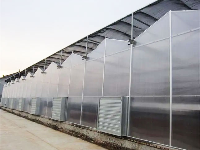 陽(yáng)光板溫室